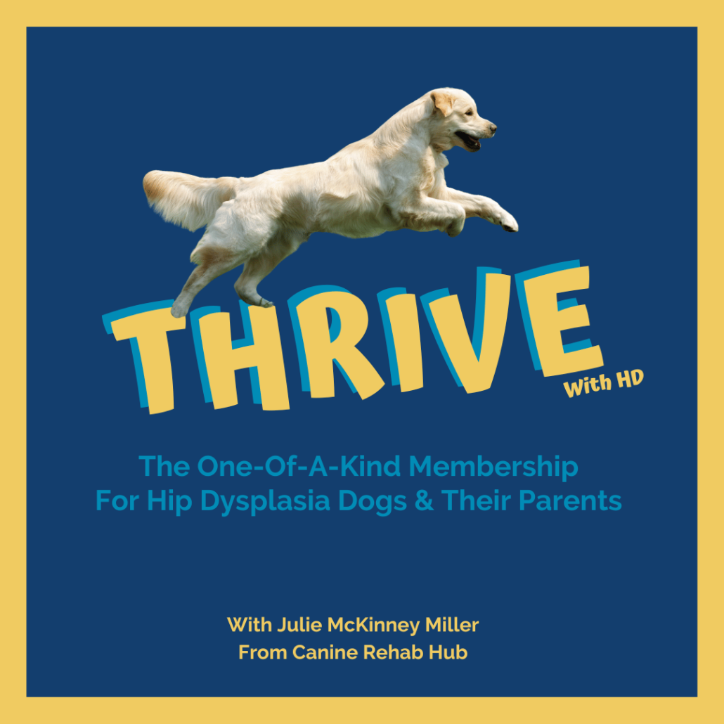 THRIVE with Hip Dysplasia Membership image