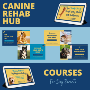 Courses for Dog Parents About Hip Dysplasia