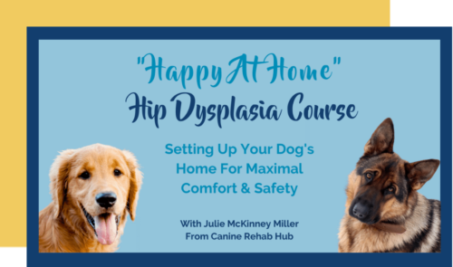 Happ at home Hip Dysplasia Course Image
