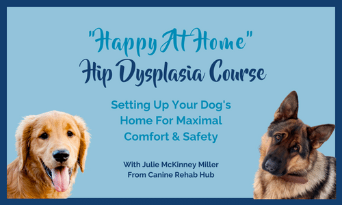 Happy At Home Hip Dysplasia Course image
