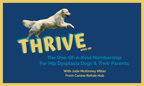 THRIVE with Hip Dysplasia Membership image