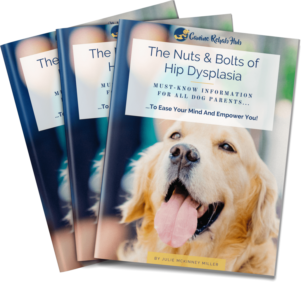 Hip Dysplasia Help For Dog Parents Canine Rehab Hub Specializing in Dogs with Hip Dysplasia