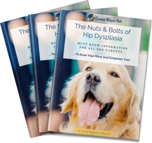 Hip Dysplasia Help for Dog Parents