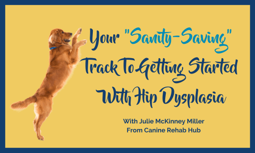 Your Sanity Saving Track To Getting Started With Hip Dysplasia Course Image