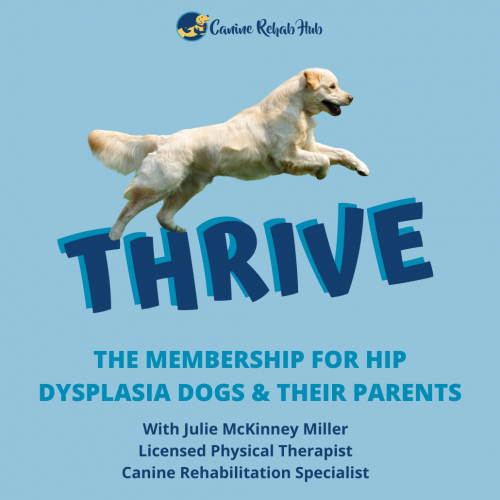 FINAL – CRH Services Images for website Thrive with hip dysplasia image for website